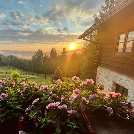 Apartment Zlobina Wisla