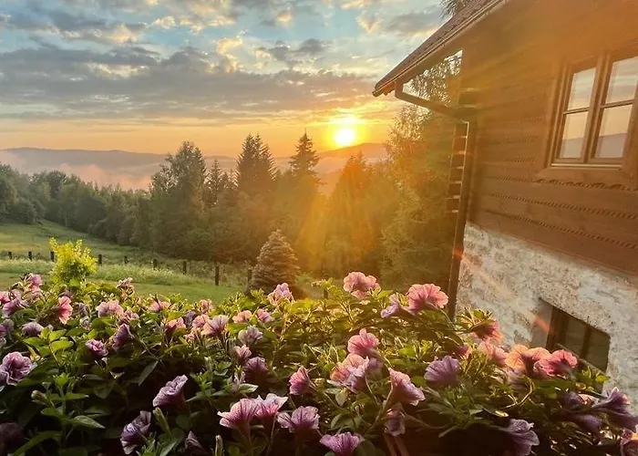 דירה Zlobina ויסלאו