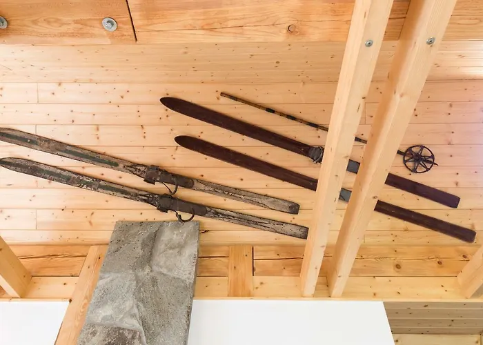 Zlobina ויסלאו