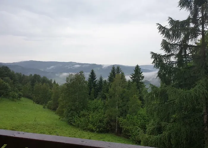 Zlobina ויסלאו